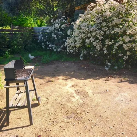 Garden House With Ac In The Maquis Cauro
